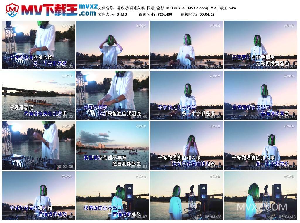 易欣-烈酒难入喉_国语_流行_MEE00754